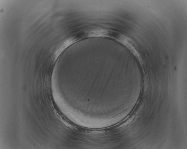 X0000087321337200705181001