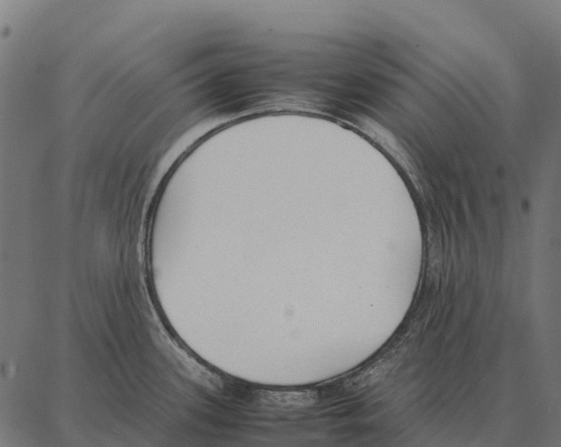 X0000087321339200705181001