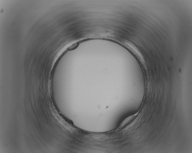 X0000087321340200705181001