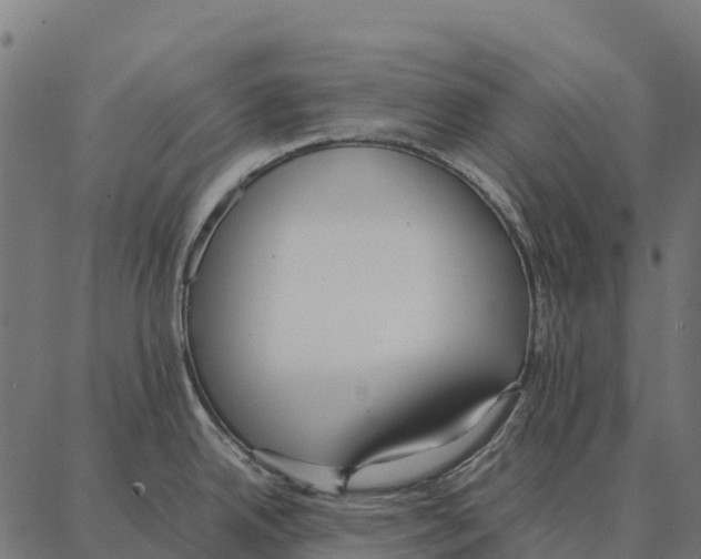 X0000087321342200705181001