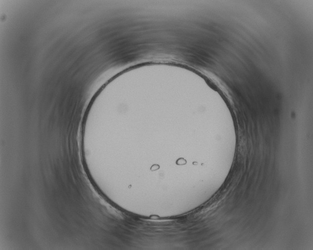 X0000087321343200705181001