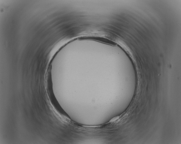 X0000087321344200705181001