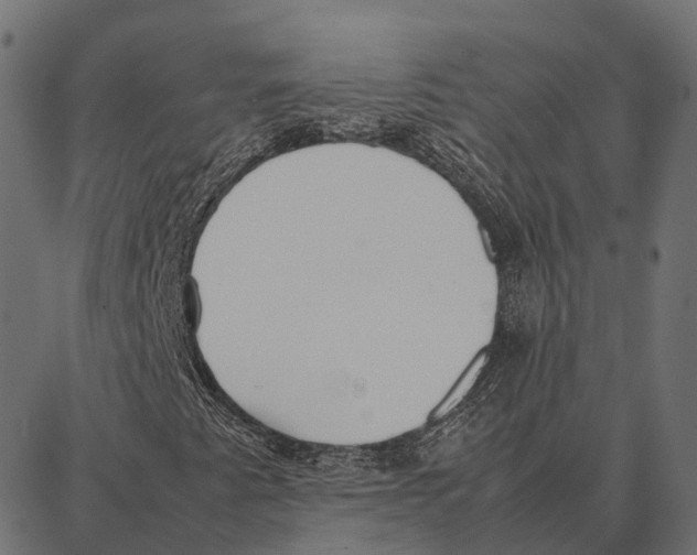 X0000087321345200705181001