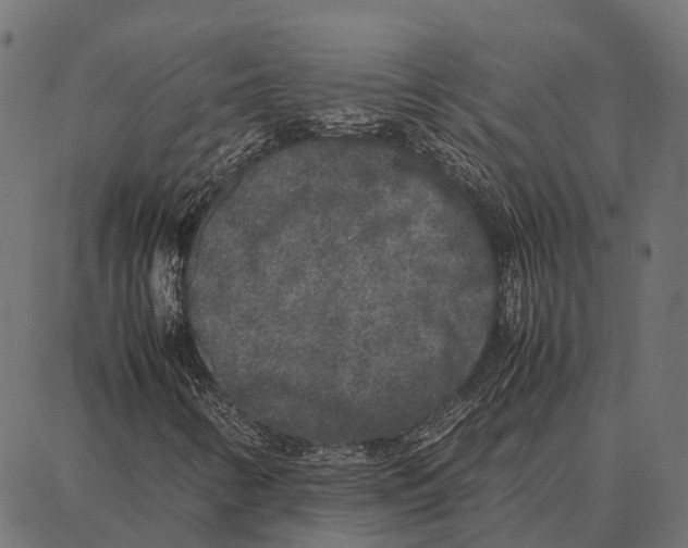 X0000087321346200705181001