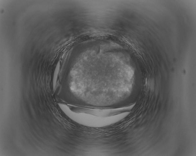 X0000087321348200705181001