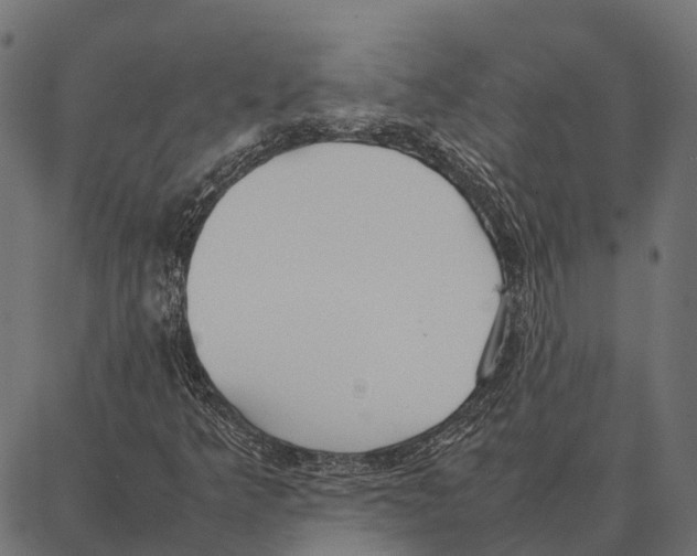 X0000087321349200705181001