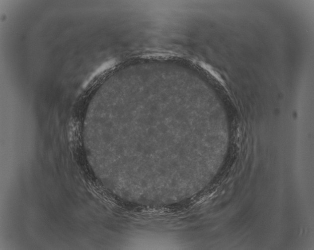 X0000087321351200705181001