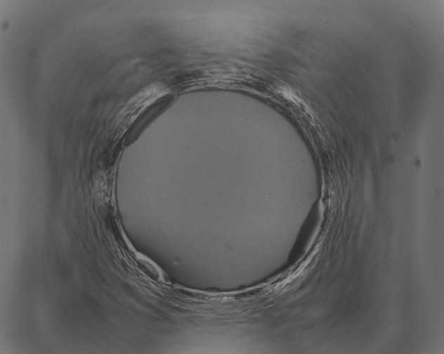 X0000087321353200705181000