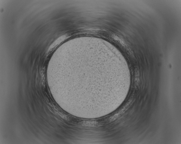 X0000087321354200705181000