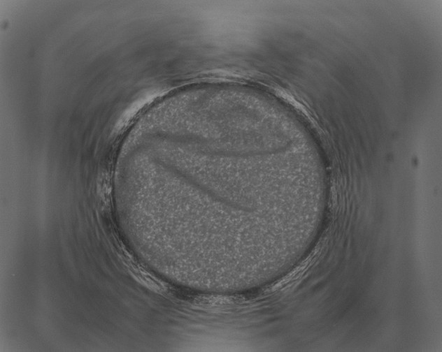 X0000087321355200705181000