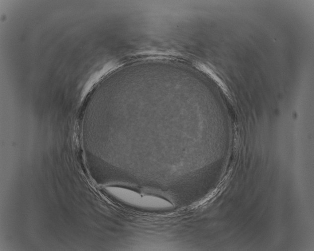 X0000087321357200705181000