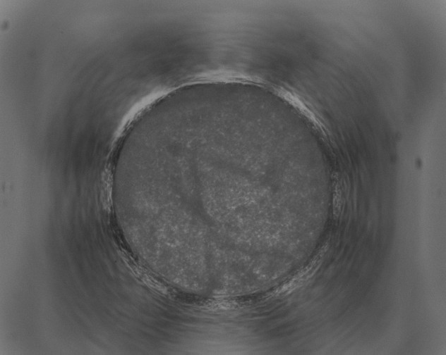 X0000087321358200705181000