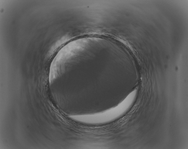 X0000087321359200705181000