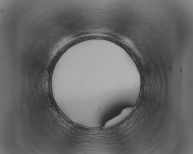 X0000087321360200705181000