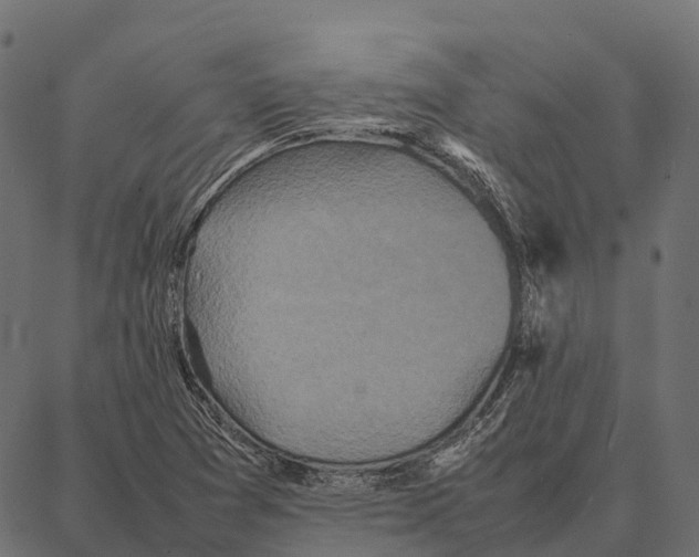 X0000087321361200705181000