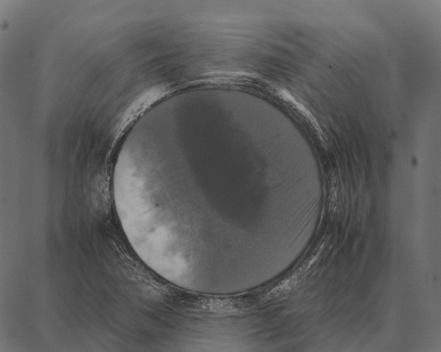 X0000087321362200705181000