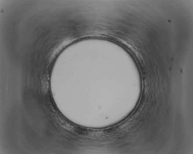 X0000087321363200705181000