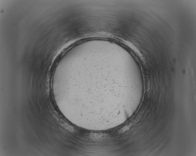 X0000087321364200705181000