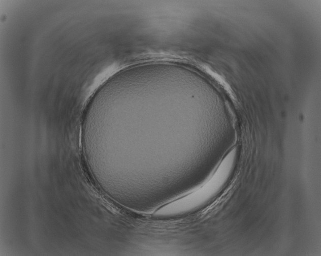 X0000087321365200705181000