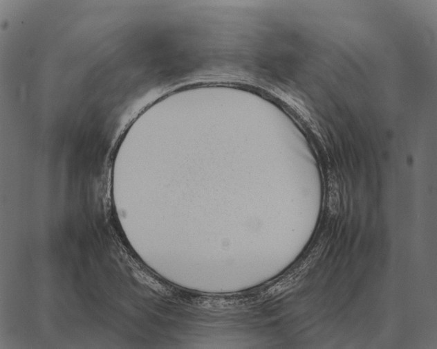 X0000087321366200705181000