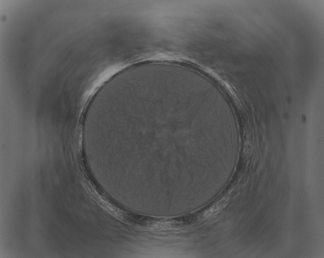 X0000087321367200705181000