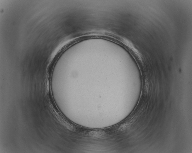 X0000087321368200705181000