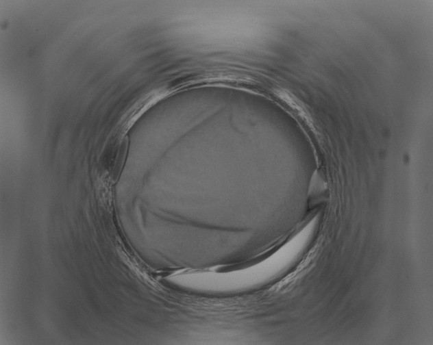 X0000087321369200705181000