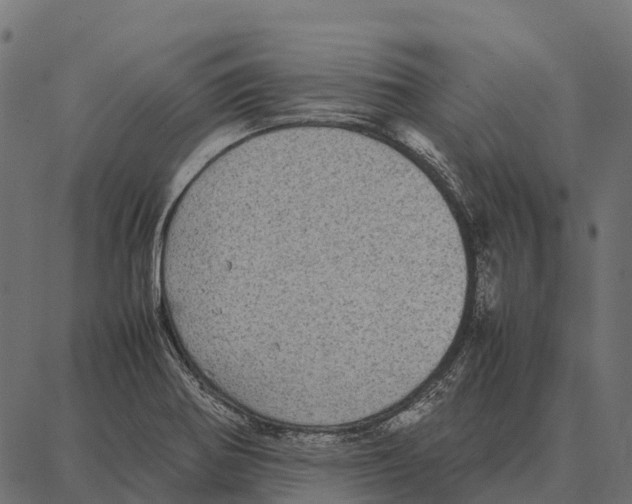 X0000087321370200705181000