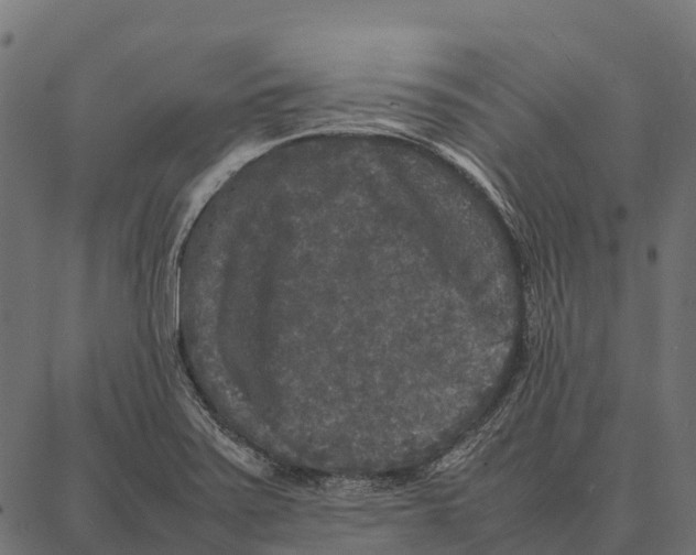 X0000087321371200705181000