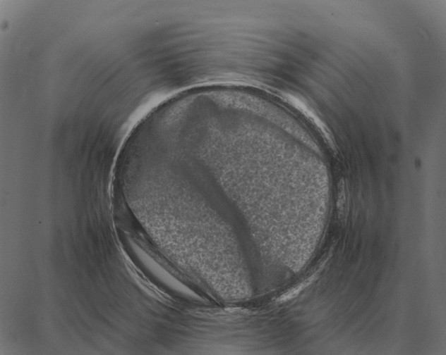 X0000087321372200705181000