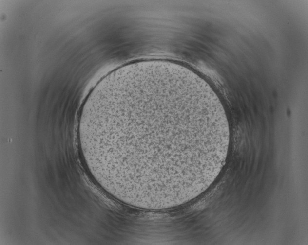 X0000087321374200705181000