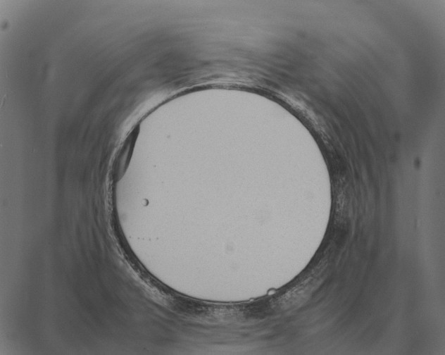 X0000087321375200705181000