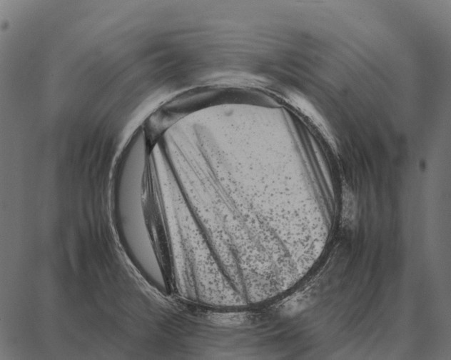 X0000087321376200705181000