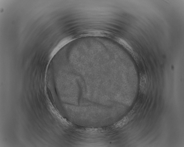 X0000087321378200705181000