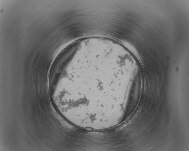 X0000087321380200705181000