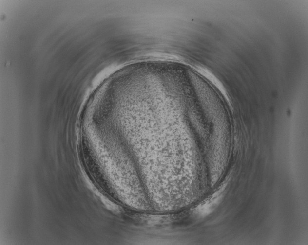 X0000087321381200705181000