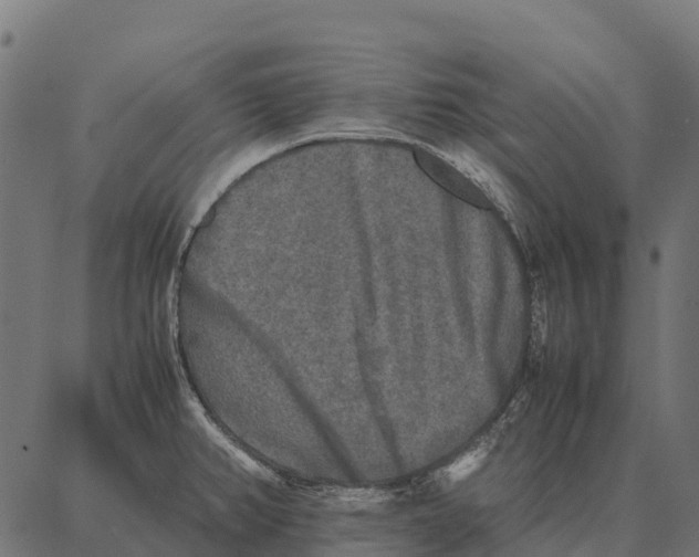 X0000087321382200705181000