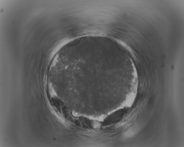 X0000087321383200705181000