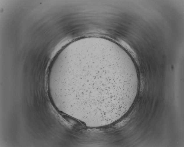 X0000087321384200705181000