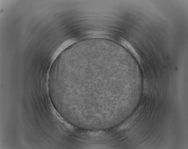 X0000087321386200705181000