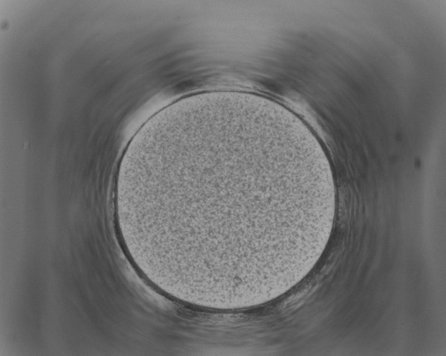 X0000087321387200705181000