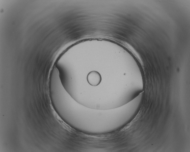 X0000087321388200705181000