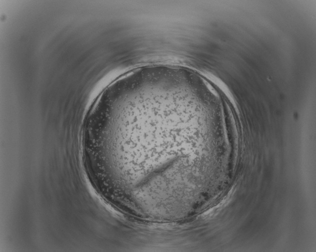 X0000087321389200705181000