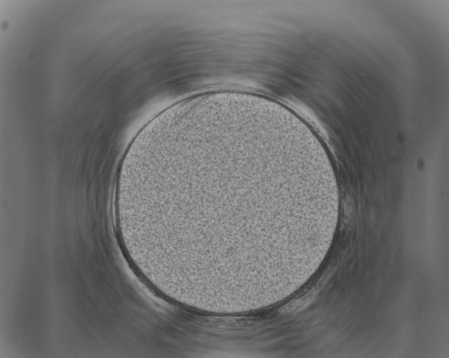 X0000087321391200705181000