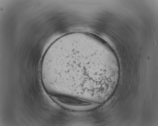 X0000087321392200705181000