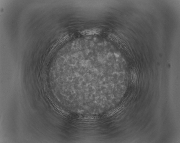 X0000087321393200705180959