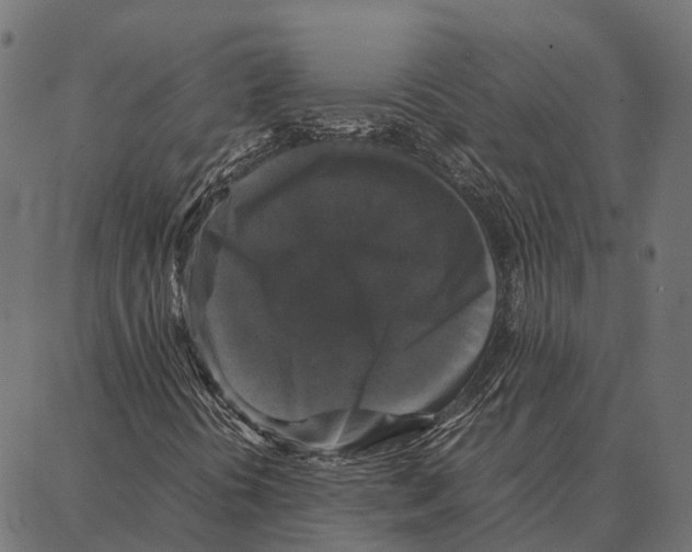 X0000087321394200705180959