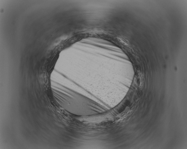 X0000087321398200705180959