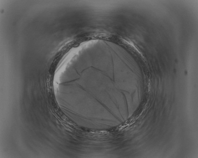 X0000087321399200705180959