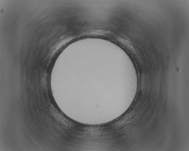 X0000087321404200705180959